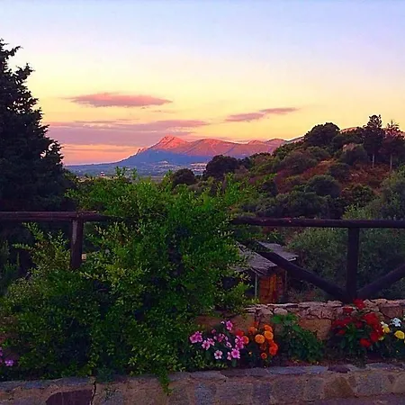 Agriturismo Sa Tella Farm stay
